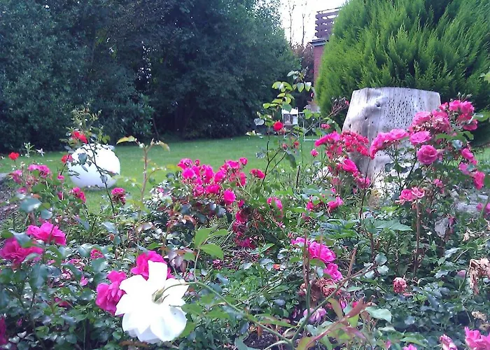 Am Itterbach * Willingen (Upland)